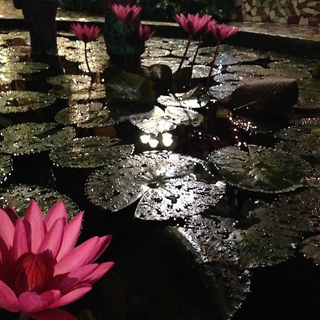 Bed and Breakfast The Lotus Garden Puerto Princesa Exteriér fotografie