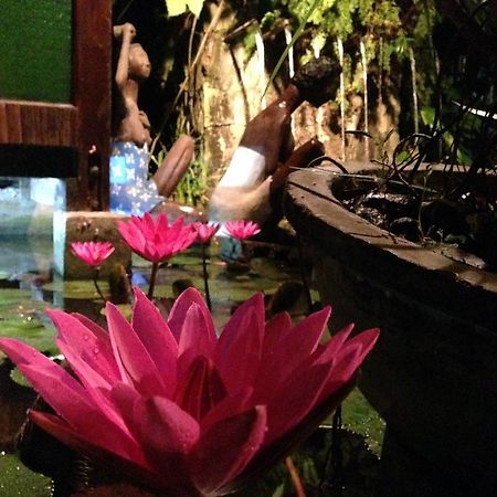Bed and Breakfast The Lotus Garden Puerto Princesa Exteriér fotografie